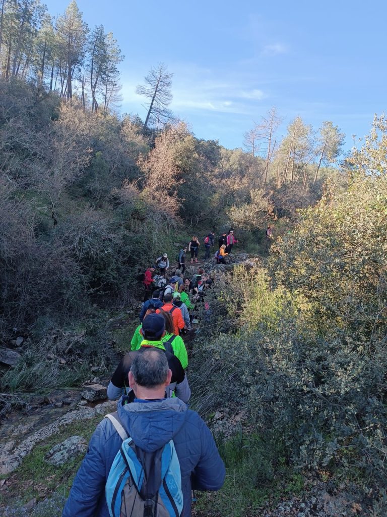 WhatsApp Image 2025-04-08 at 13.32.08